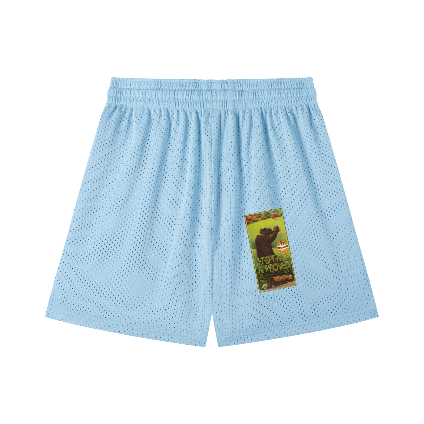 Mesh Drawstring Shorts