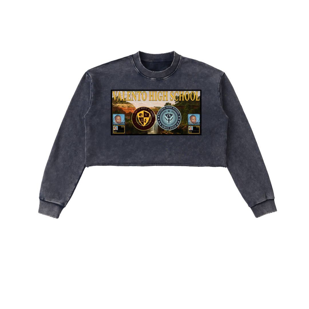Snow Washed Raw Edge Cropped Sweatshirt