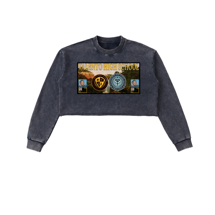 Snow Washed Raw Edge Cropped Sweatshirt