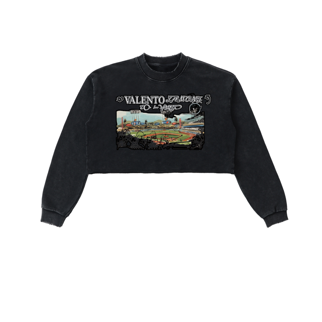 Snow Washed Raw Edge Cropped Sweatshirt