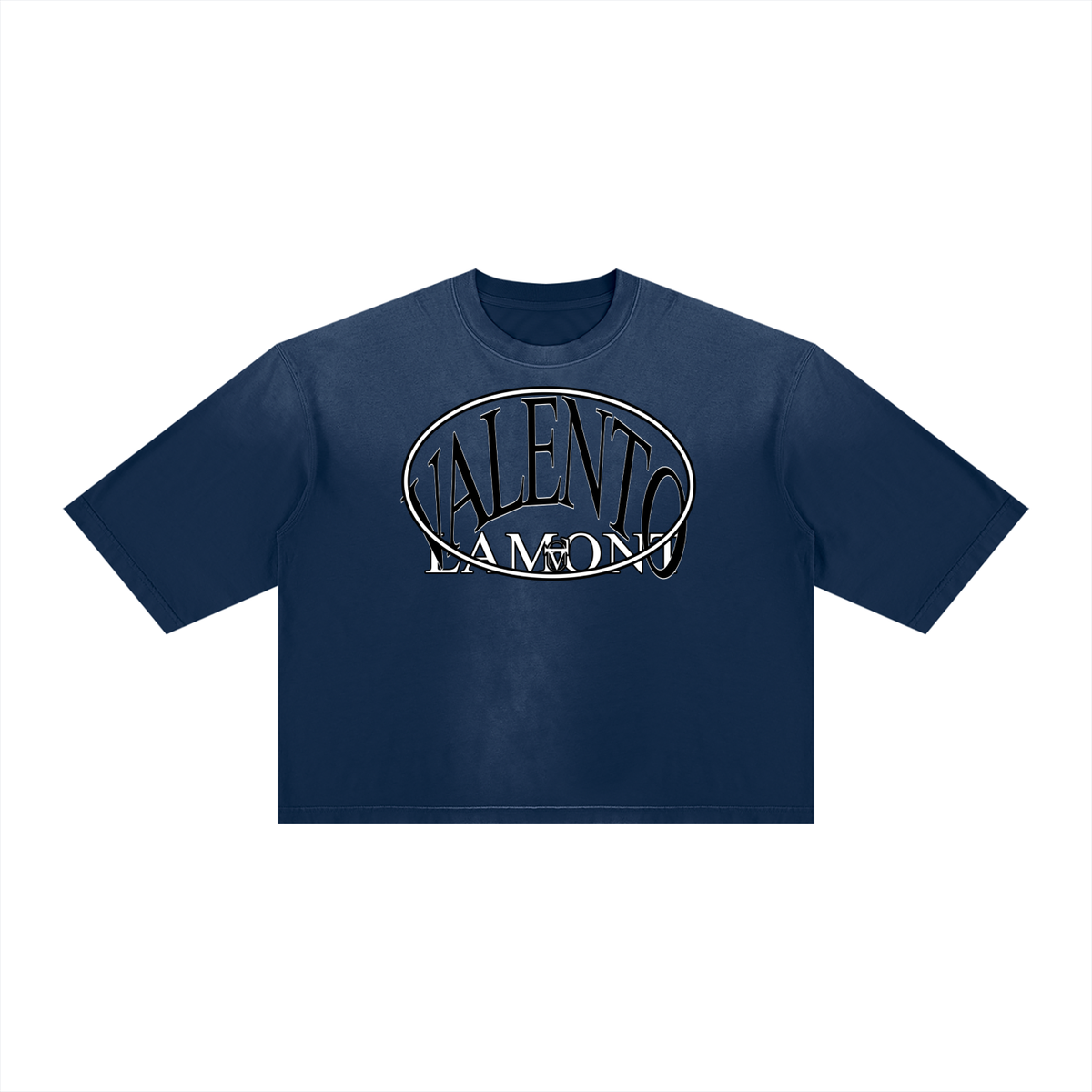V Vintage Wash Sunfade Boxy T-Shirt