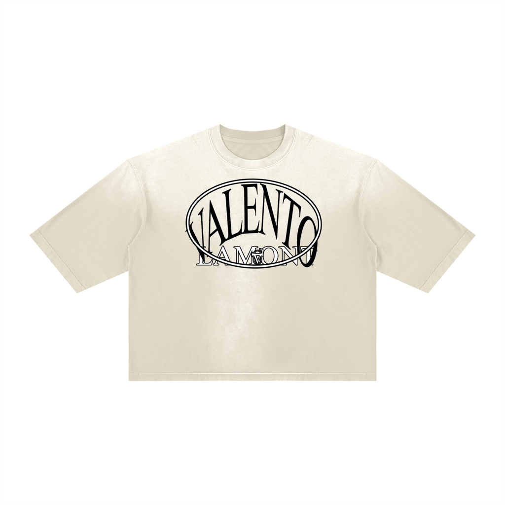 V Vintage Wash Sunfade Boxy T-Shirt