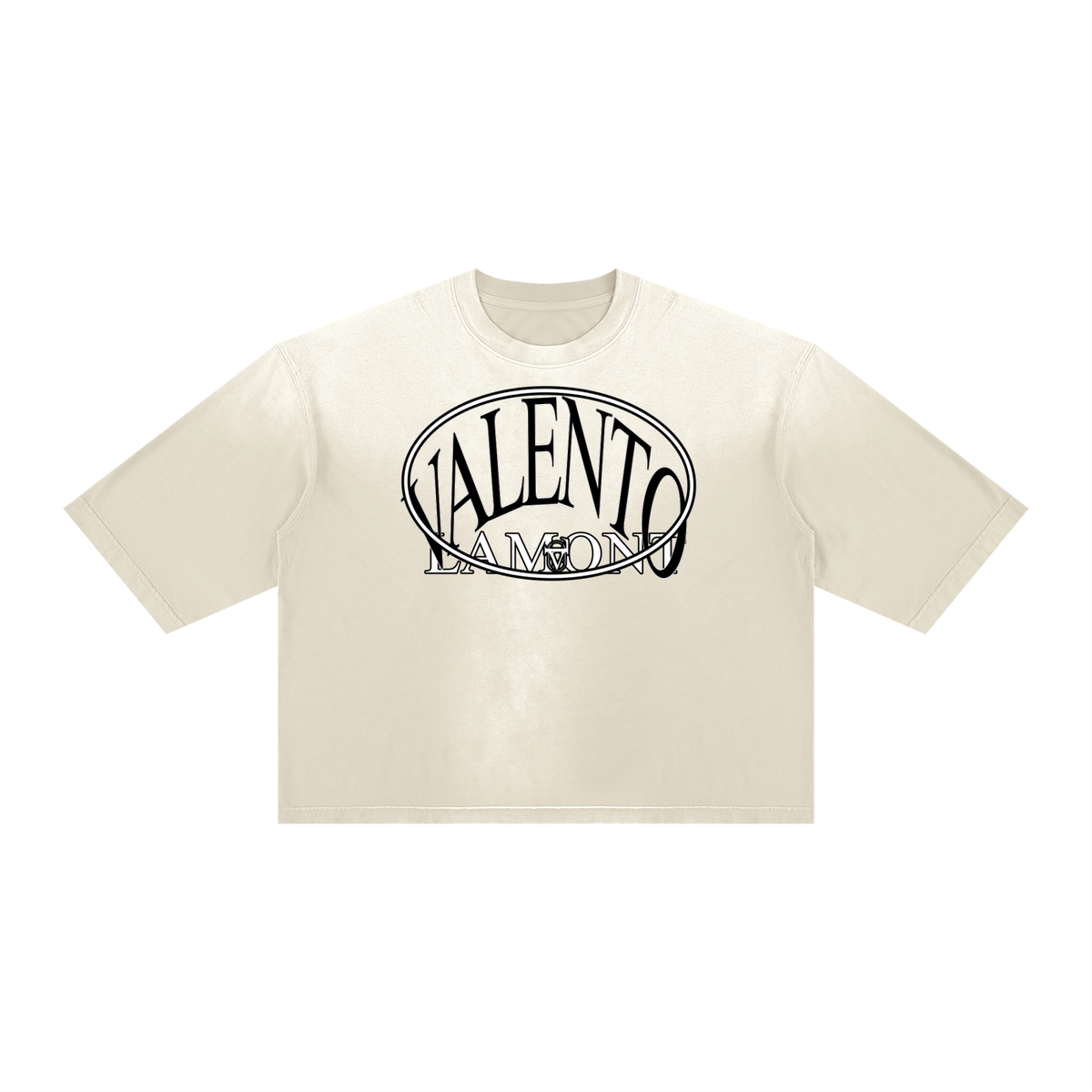 V Vintage Wash Sunfade Boxy T-Shirt