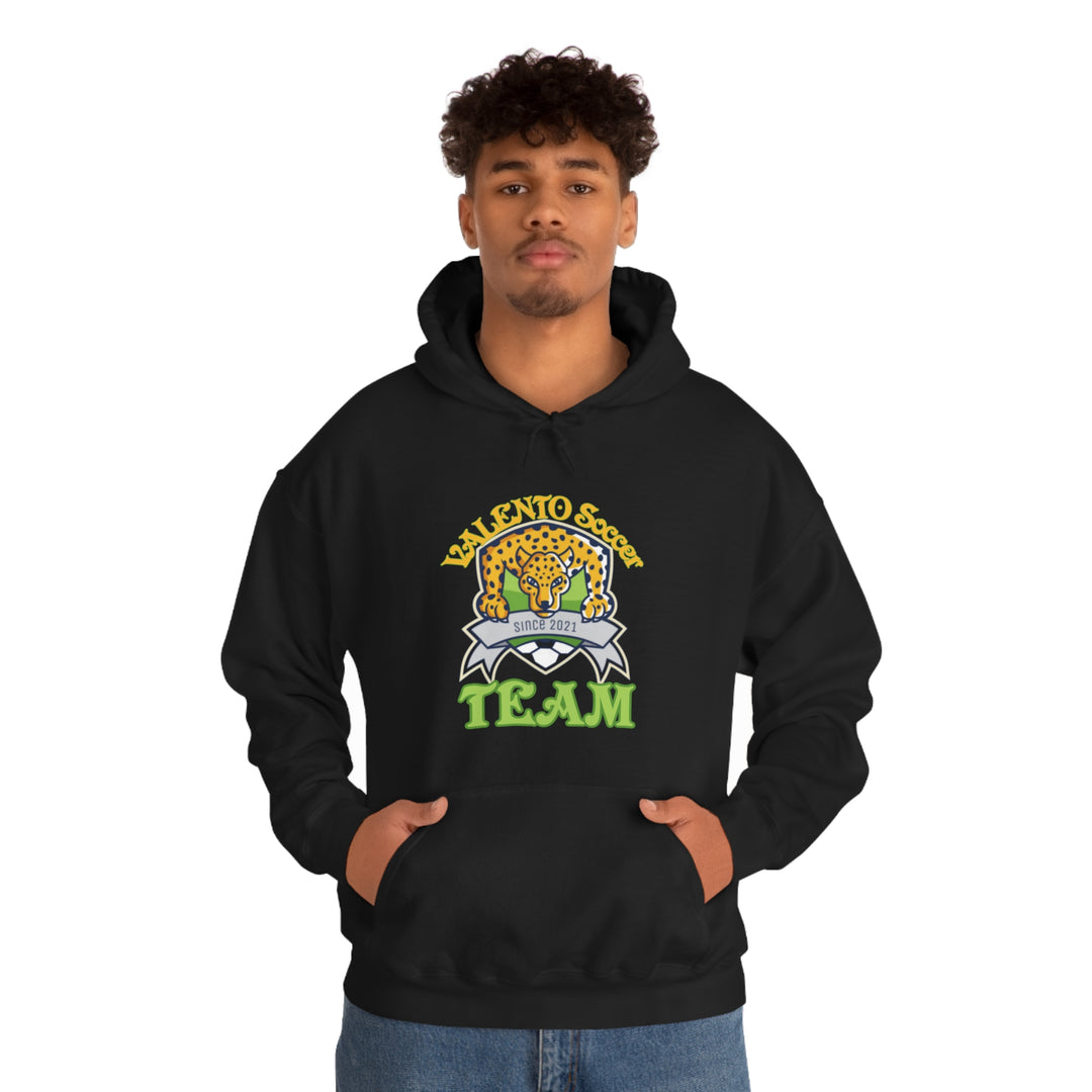 VALETNO university HOODIE