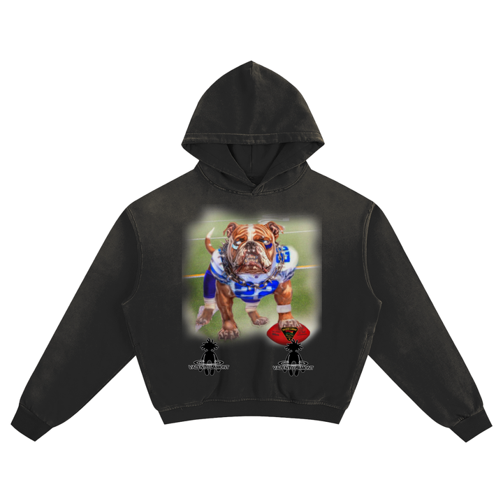 Sunfade Boxy Hoodie
