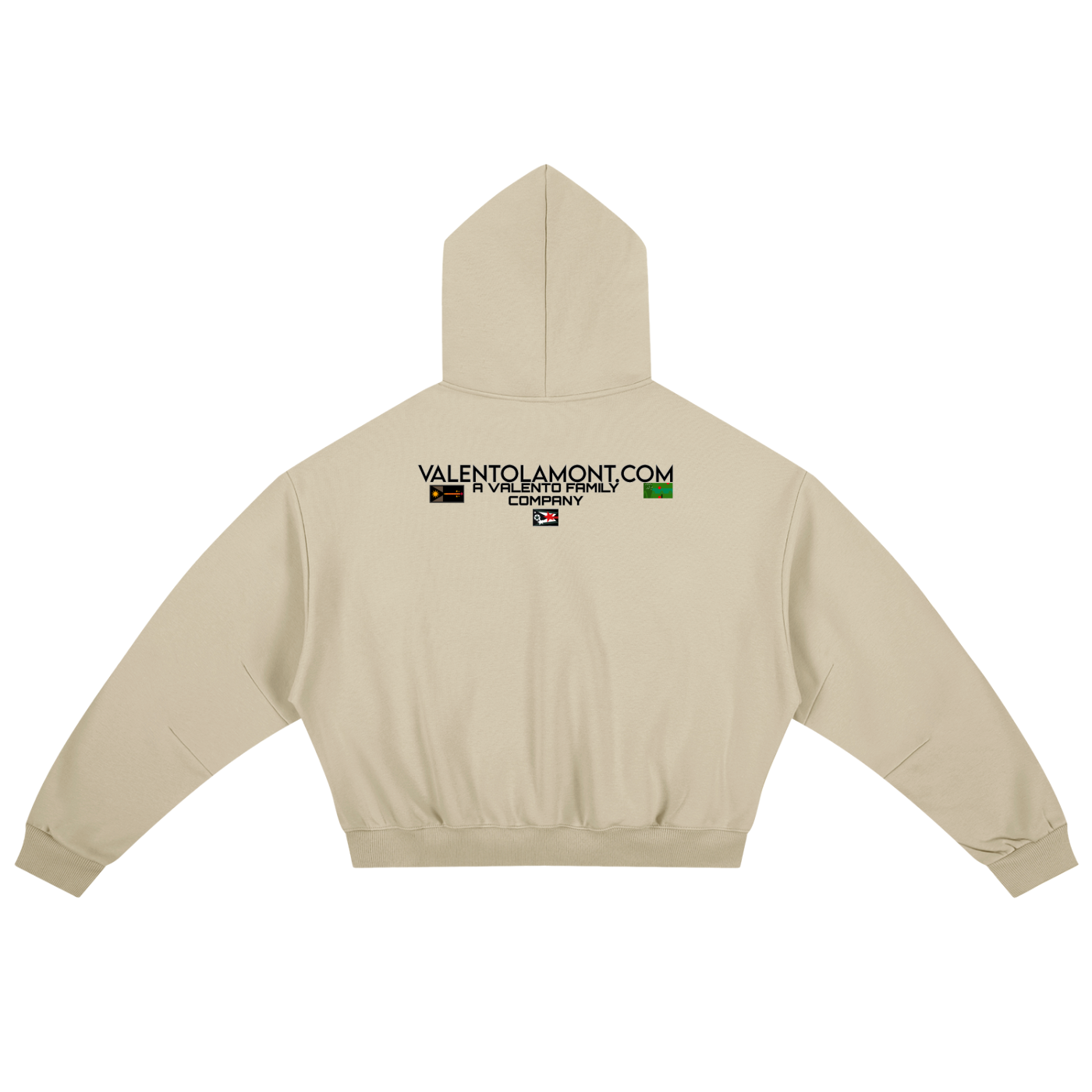 Essential Boxy Darted Sleeve Hoodie