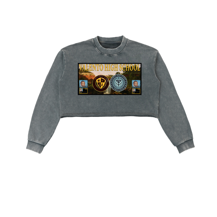 Snow Washed Raw Edge Cropped Sweatshirt