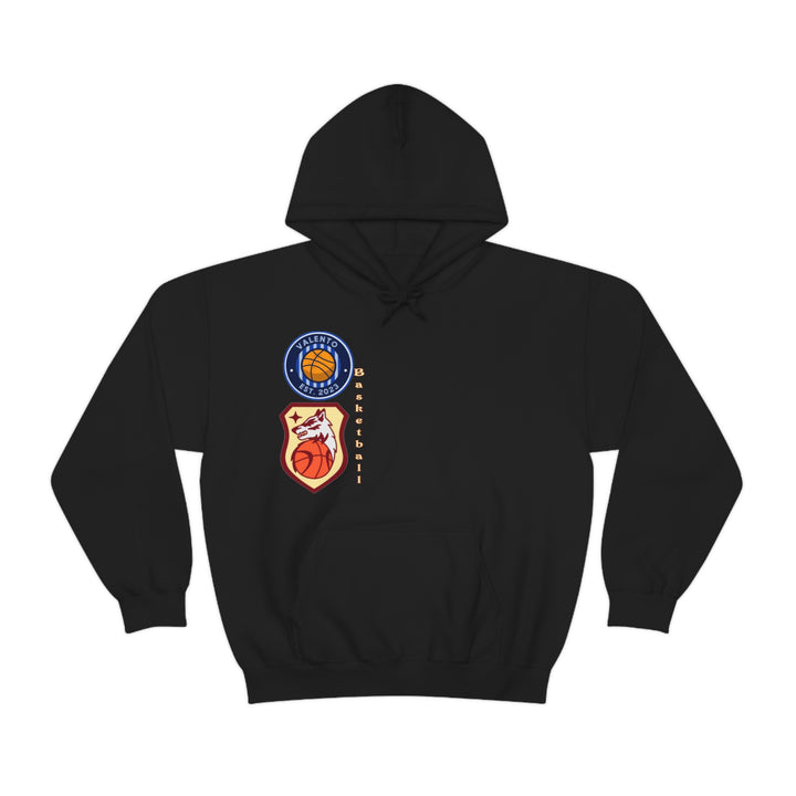 VALETNO university HOODIE