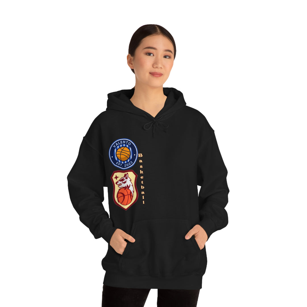 VALETNO university HOODIE