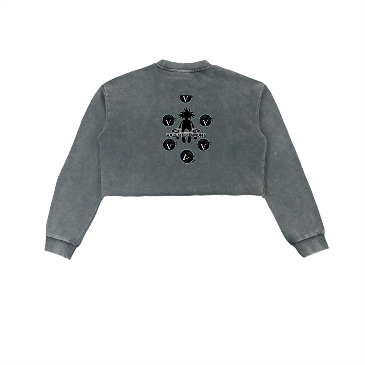Snow Washed Raw Edge Cropped Sweatshirt