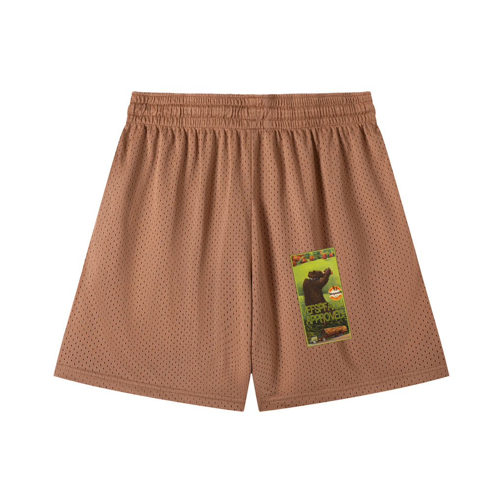 Mesh Drawstring Shorts