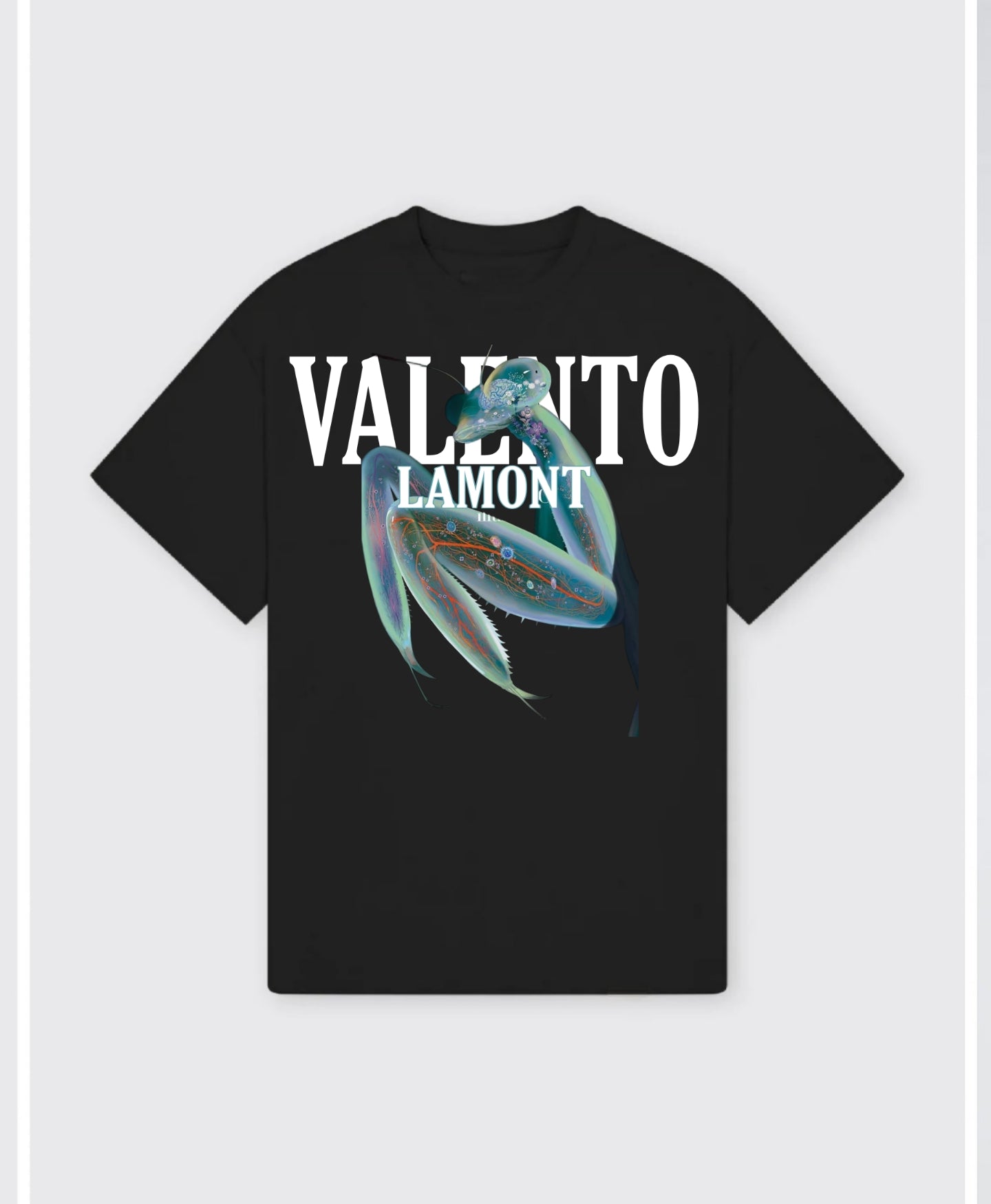 Organic Unisex Classic T-Shirt