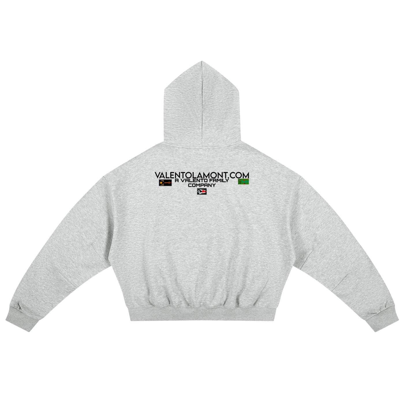 Essential Boxy Darted Sleeve Hoodie