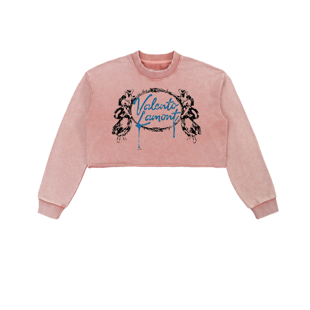 Snow Washed Raw Edge Cropped Sweatshirt