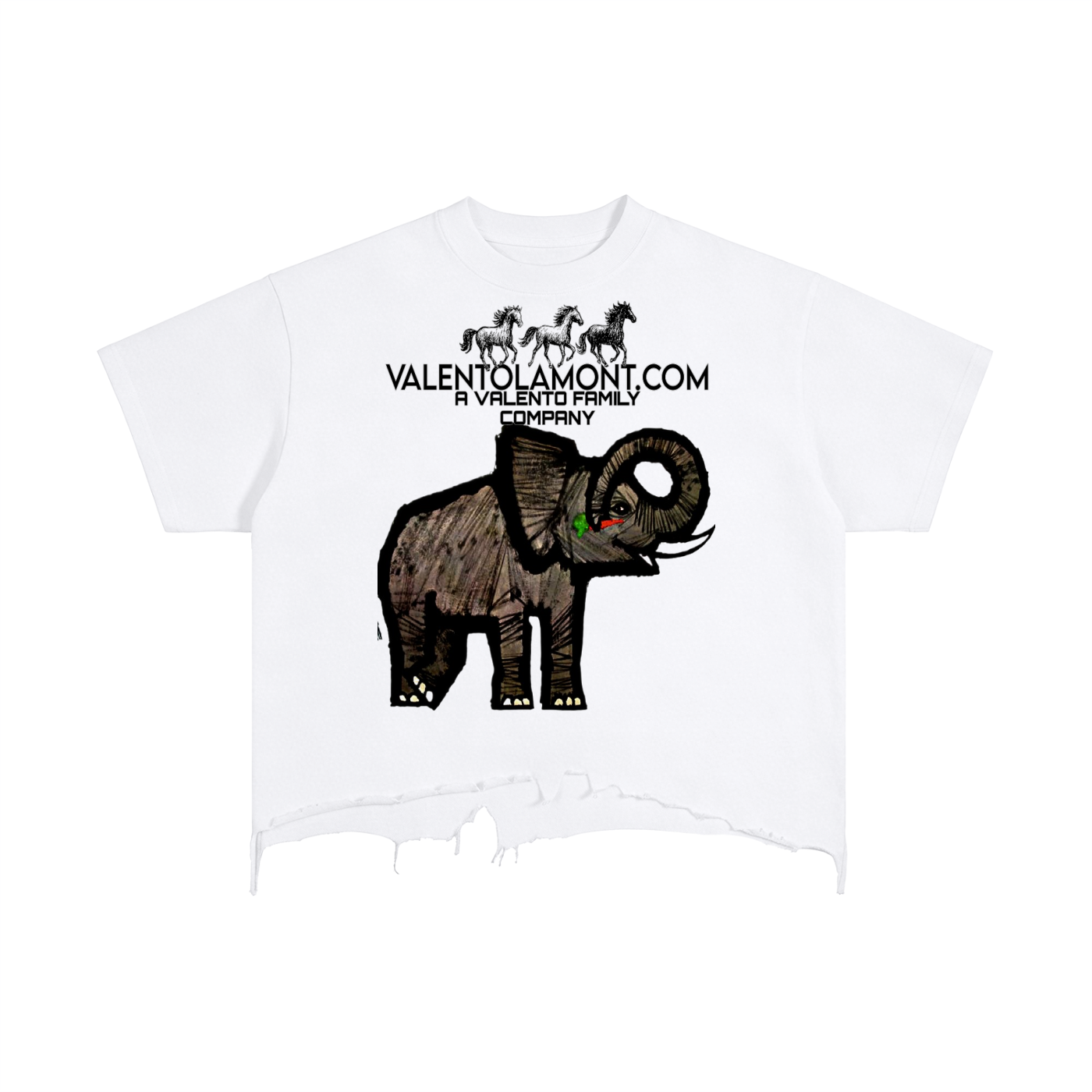 Vintage Wash Boxy Distressed Hem T-Shirt