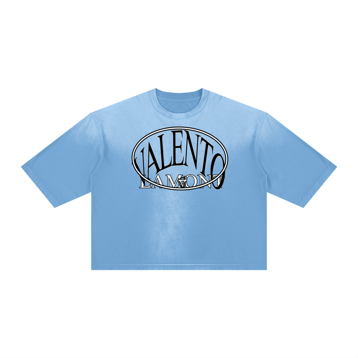 V Vintage Wash Sunfade Boxy T-Shirt