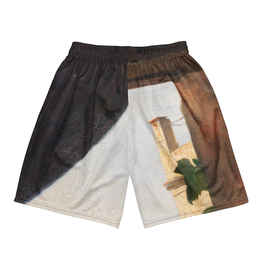 Unisex mesh shorts