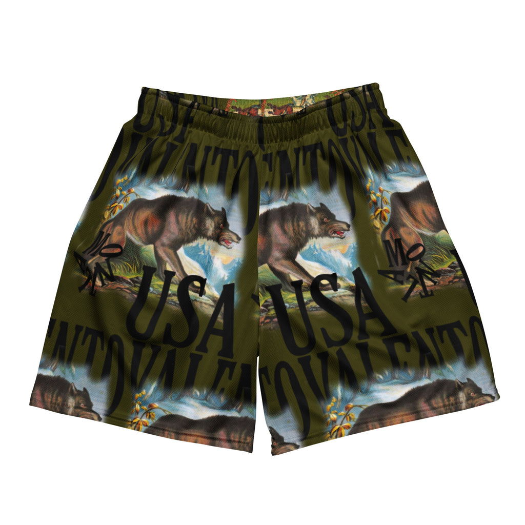 Unisex mesh shorts