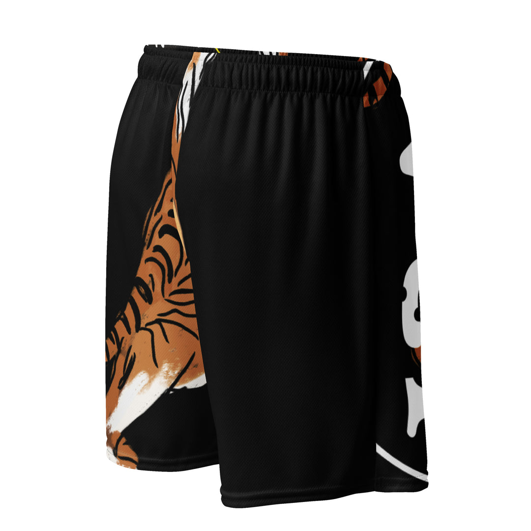Unisex mesh shorts