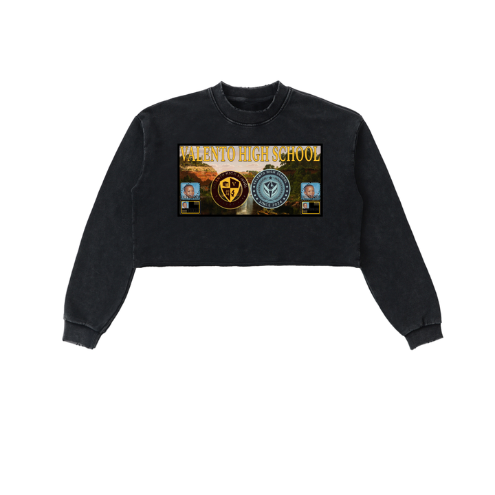 Snow Washed Raw Edge Cropped Sweatshirt