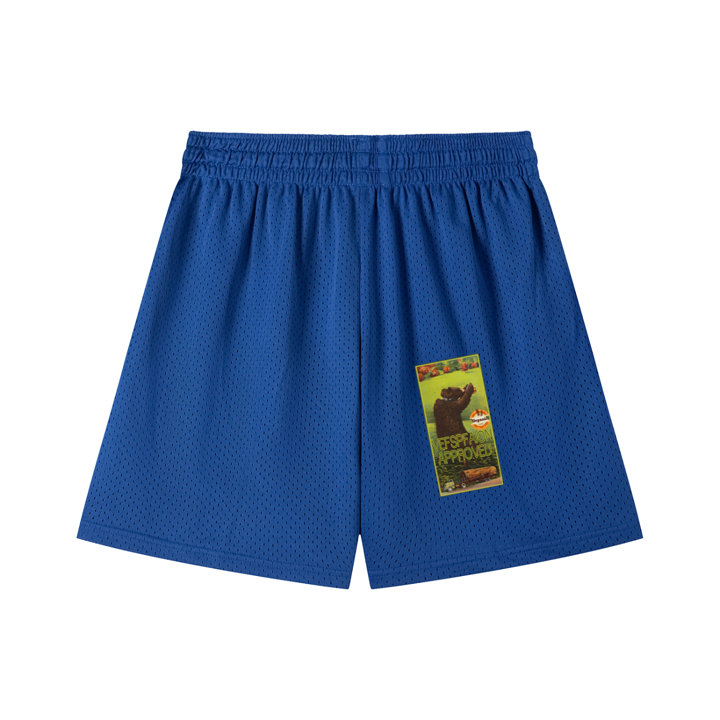 Mesh Drawstring Shorts