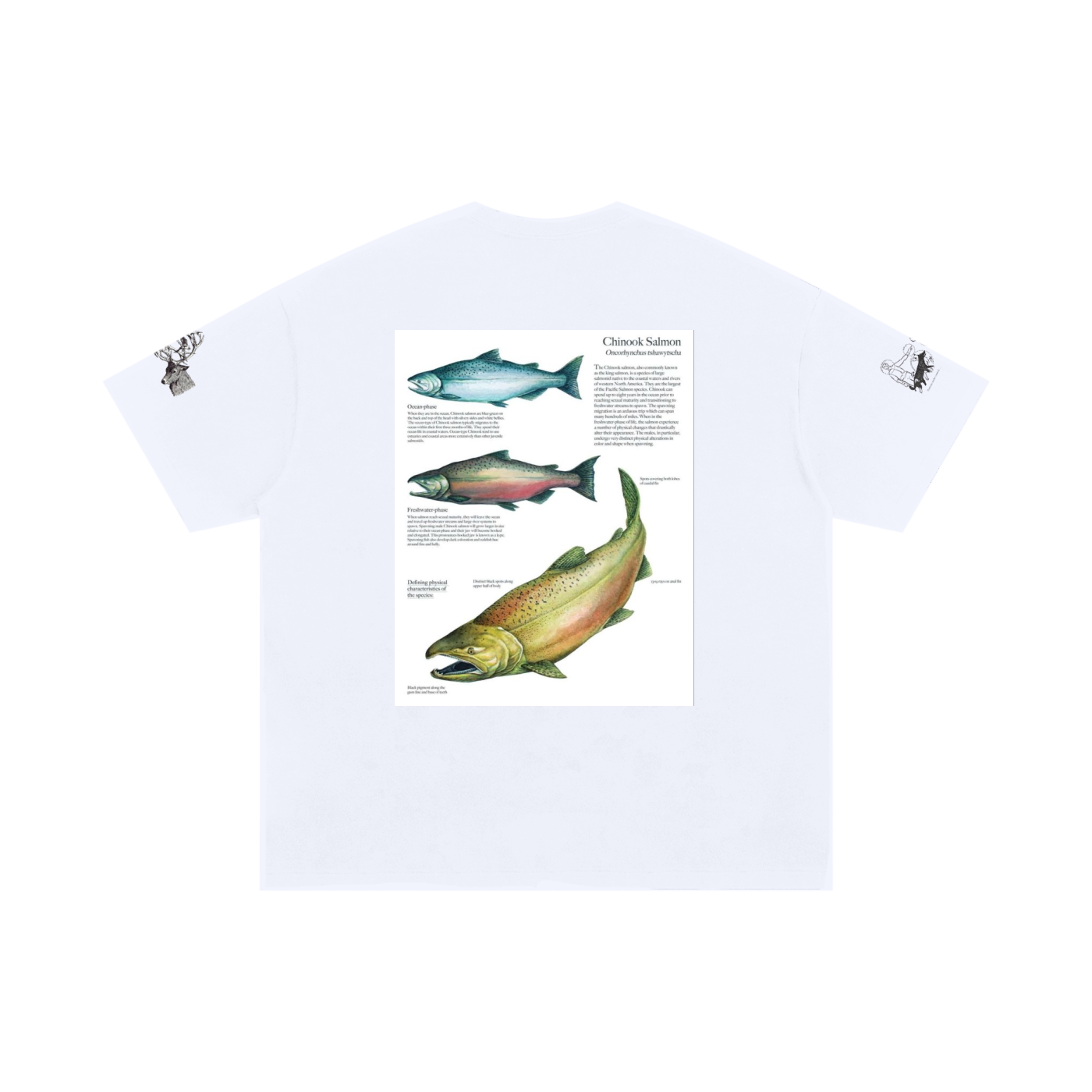 Unisex Oversized Cotton T-Shirt
