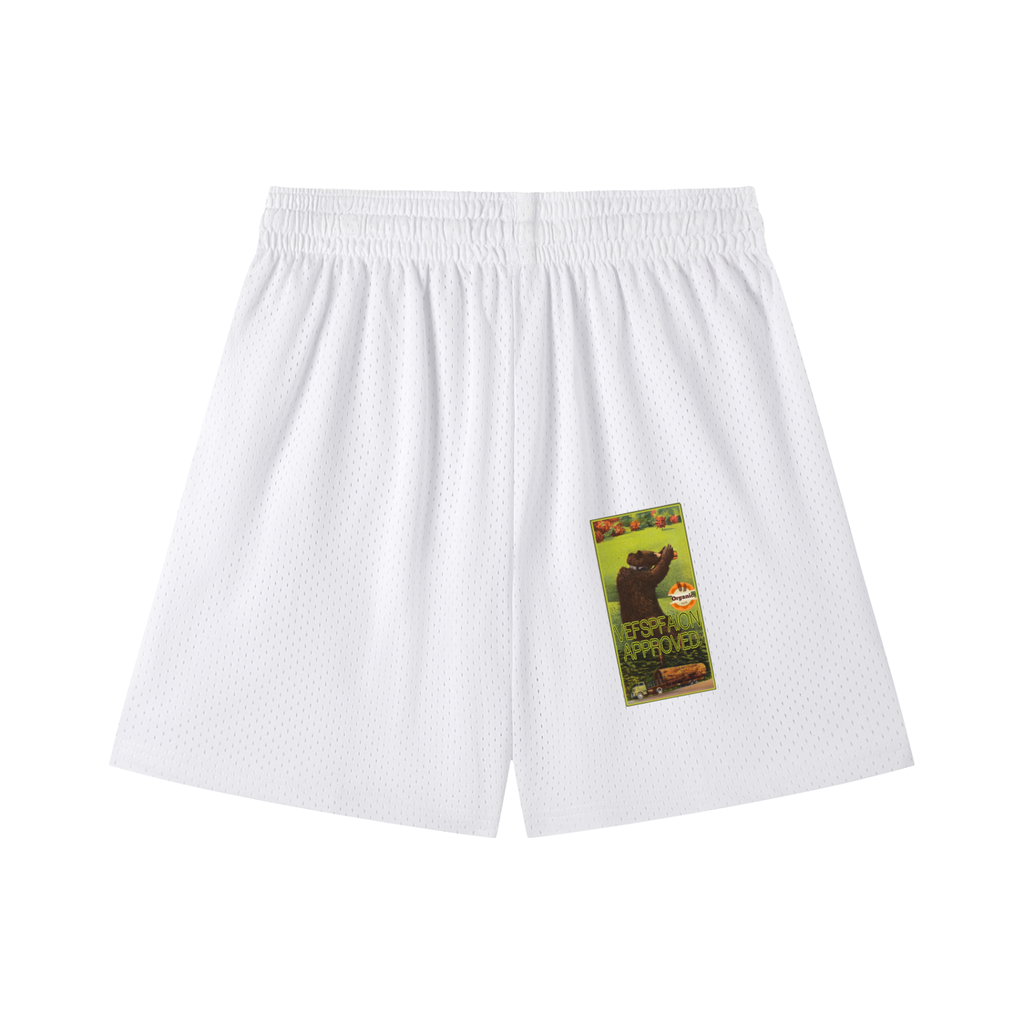 Mesh Drawstring Shorts