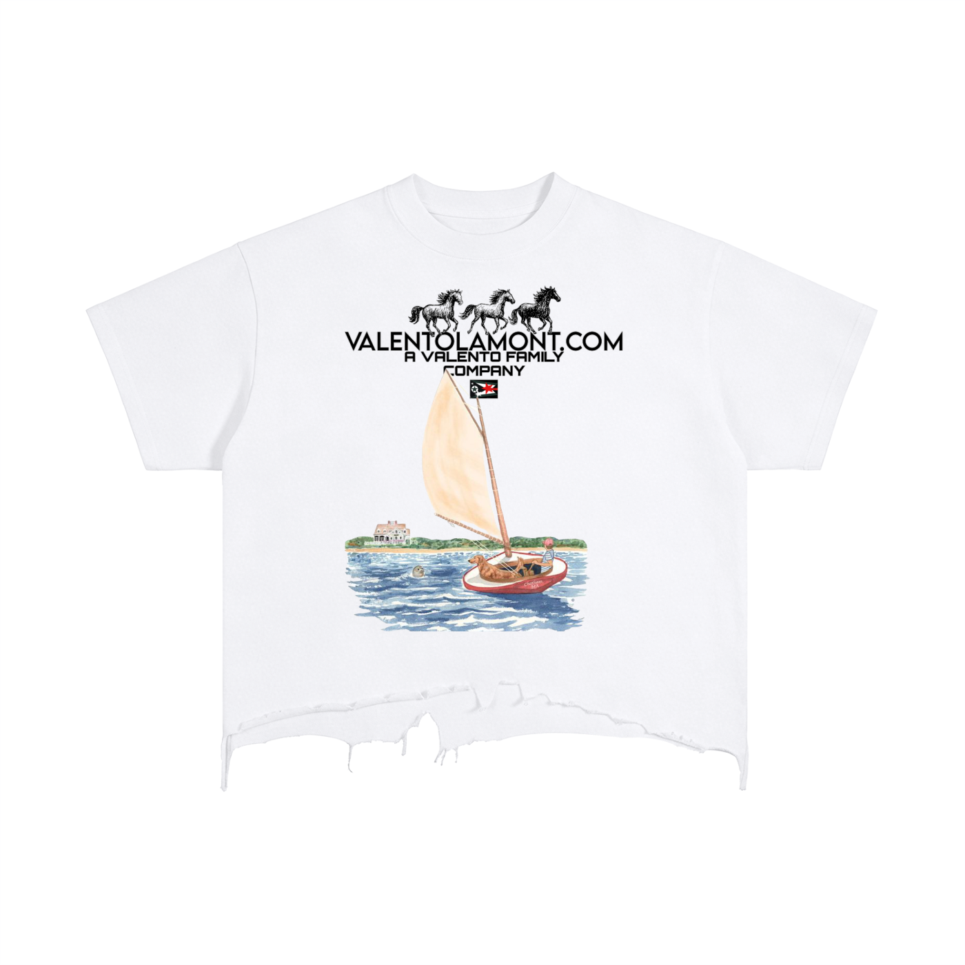 Vintage Wash Boxy Distressed Hem T-Shirt