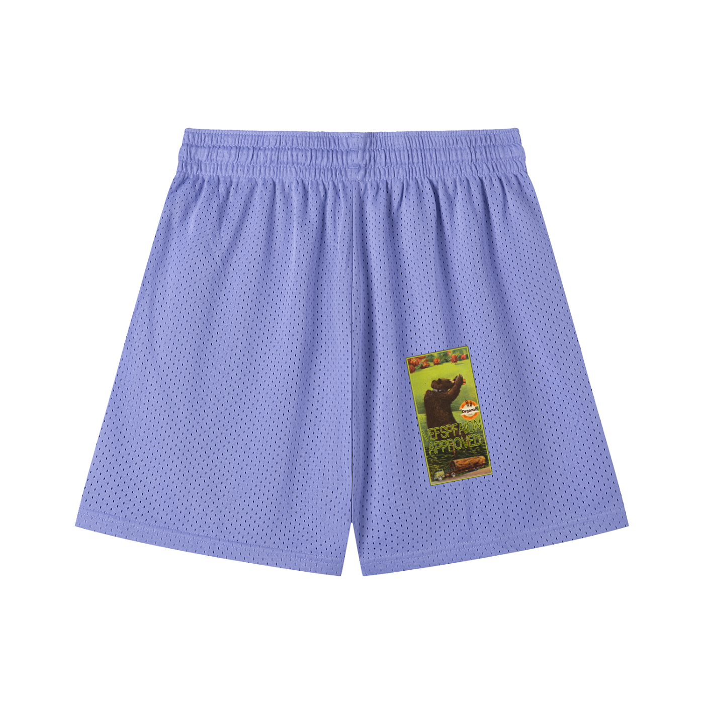 Mesh Drawstring Shorts