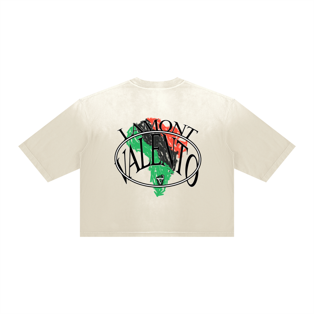 V Vintage Wash Sunfade Boxy T-Shirt