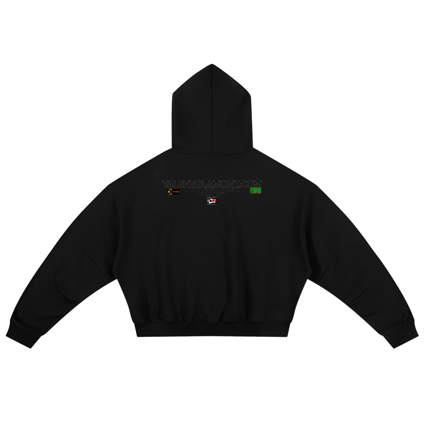 Essential Boxy Darted Sleeve Hoodie