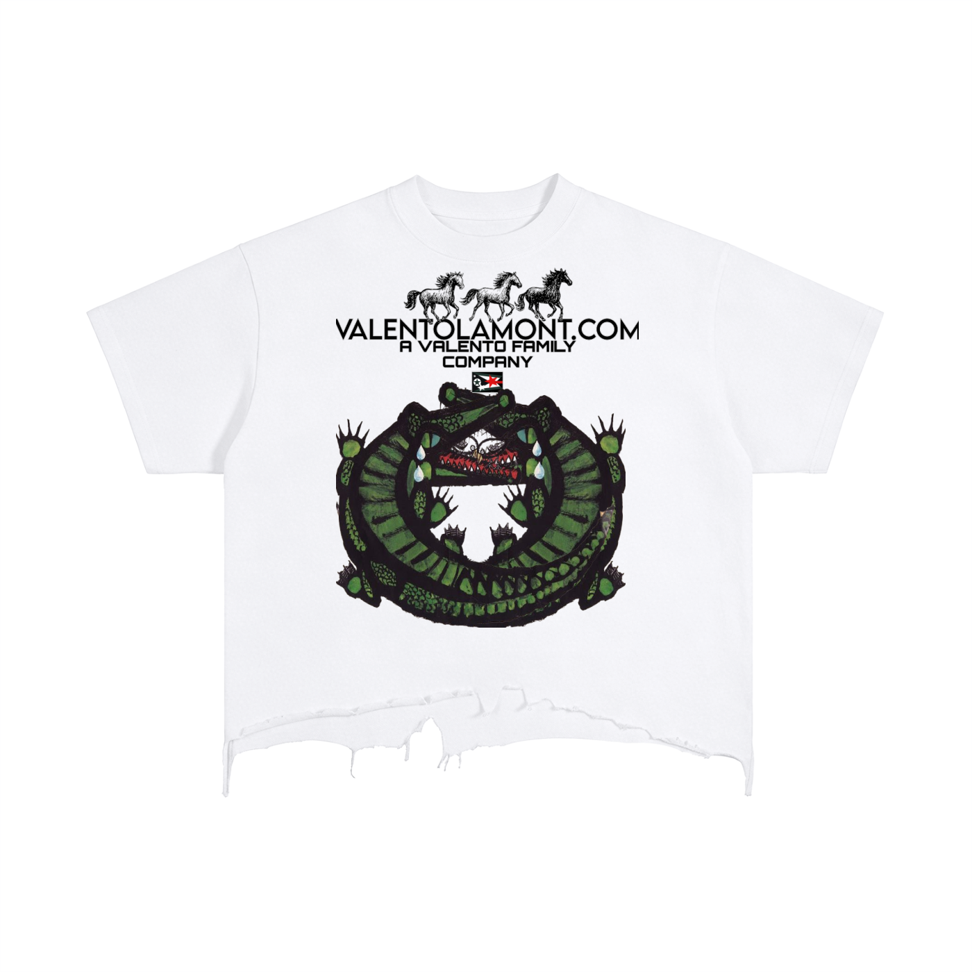 Vintage Wash Boxy Distressed Hem T-Shirt