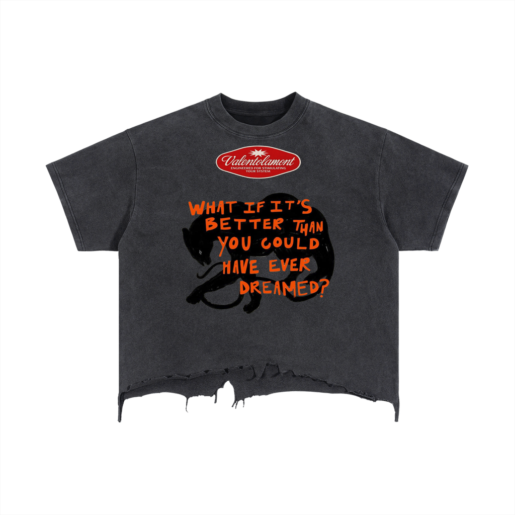 Vintage Wash Boxy Distressed Hem T-Shirt