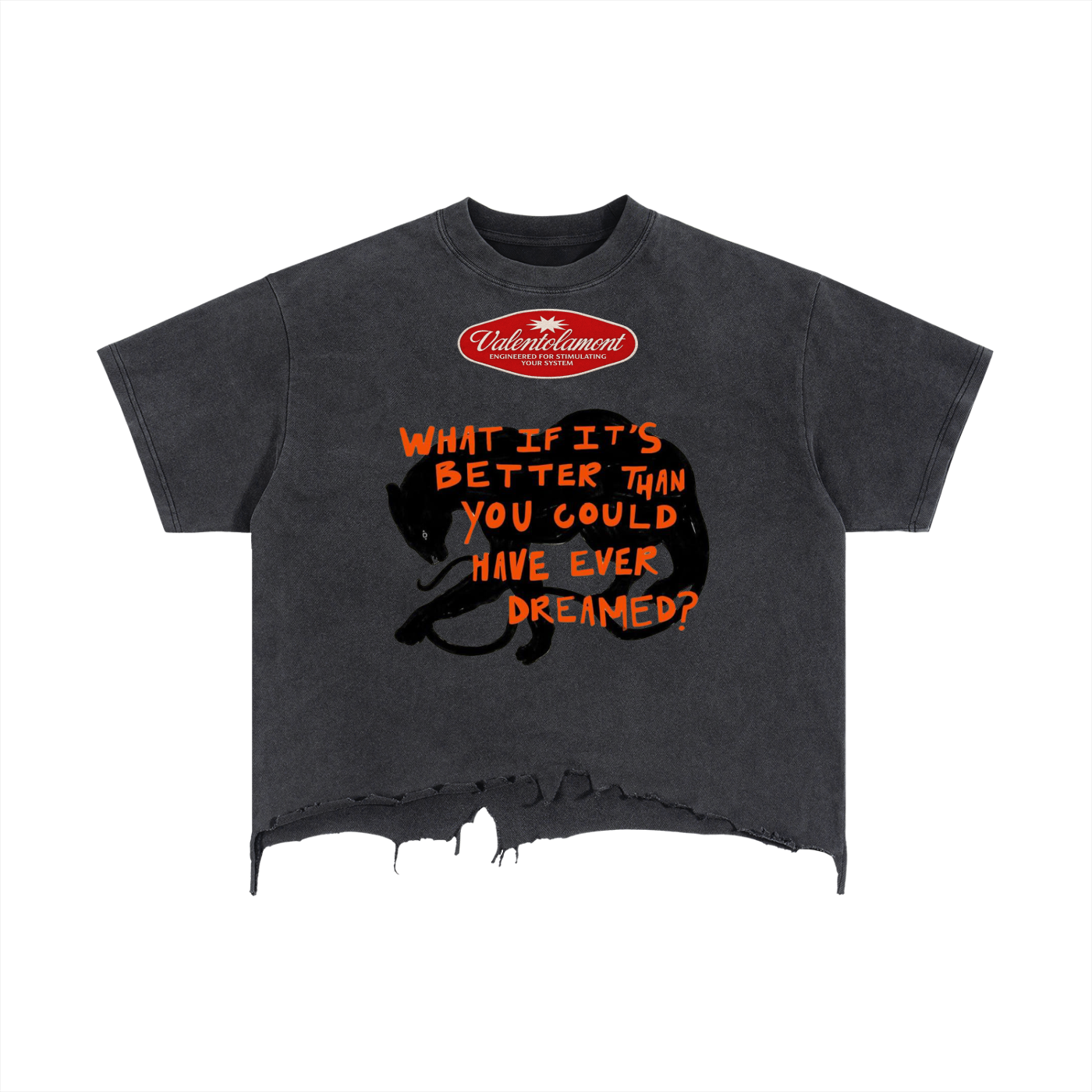 Vintage Wash Boxy Distressed Hem T-Shirt