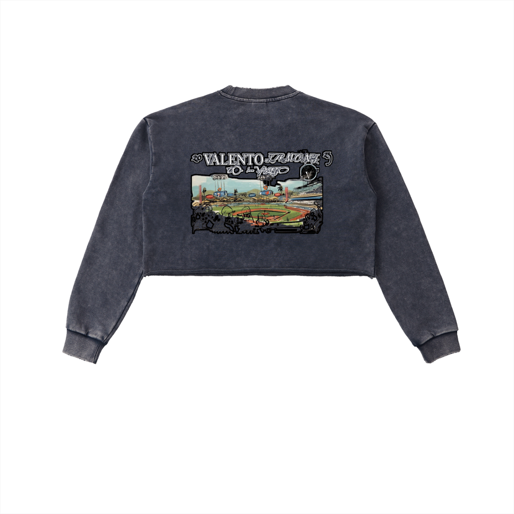 Snow Washed Raw Edge Cropped Sweatshirt