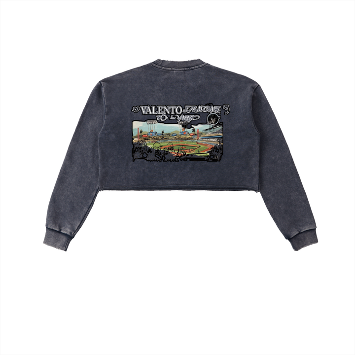 Snow Washed Raw Edge Cropped Sweatshirt
