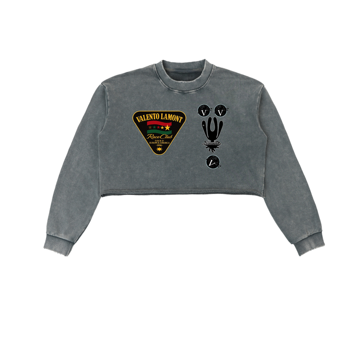 Snow Washed Raw Edge Cropped Sweatshirt