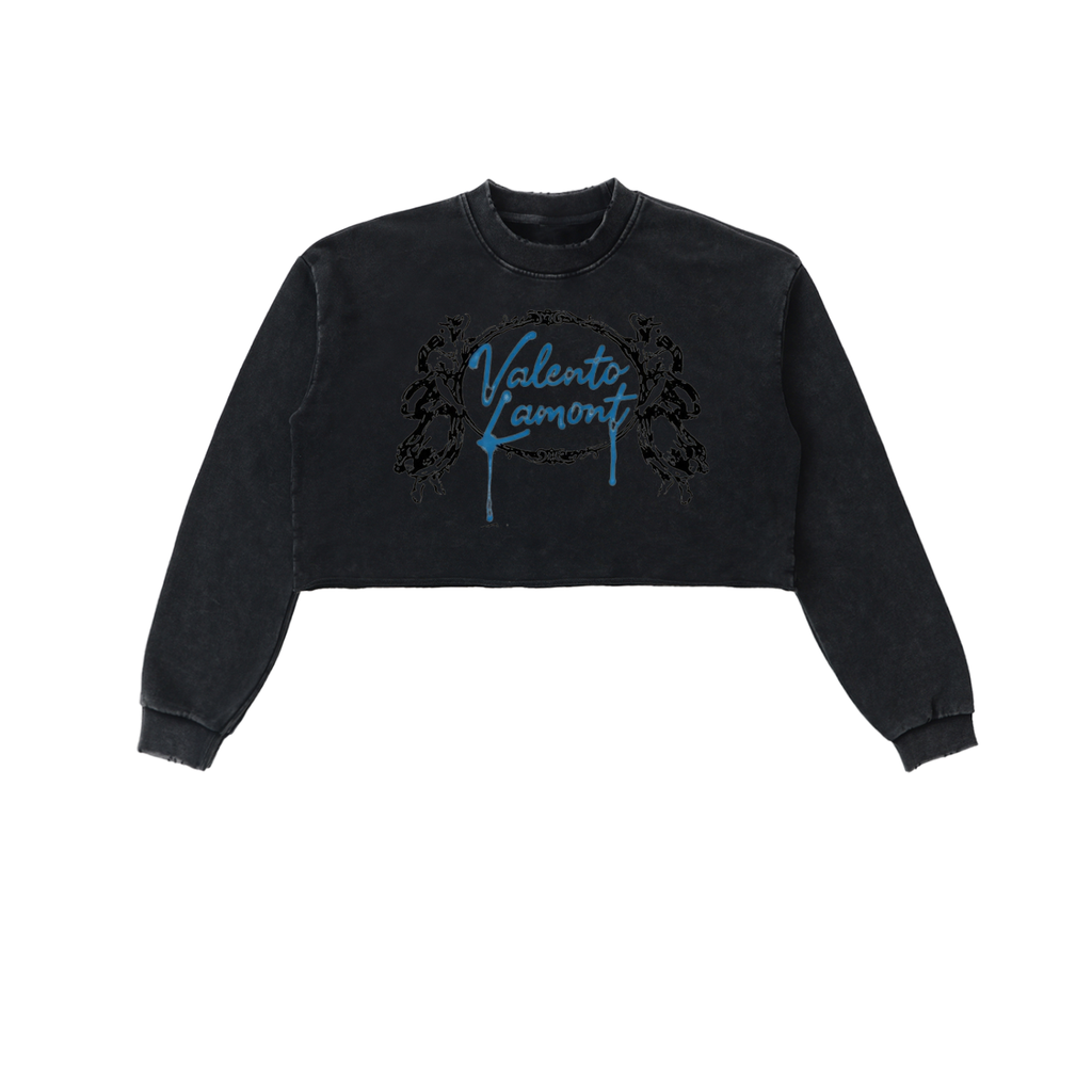 Snow Washed Raw Edge Cropped Sweatshirt