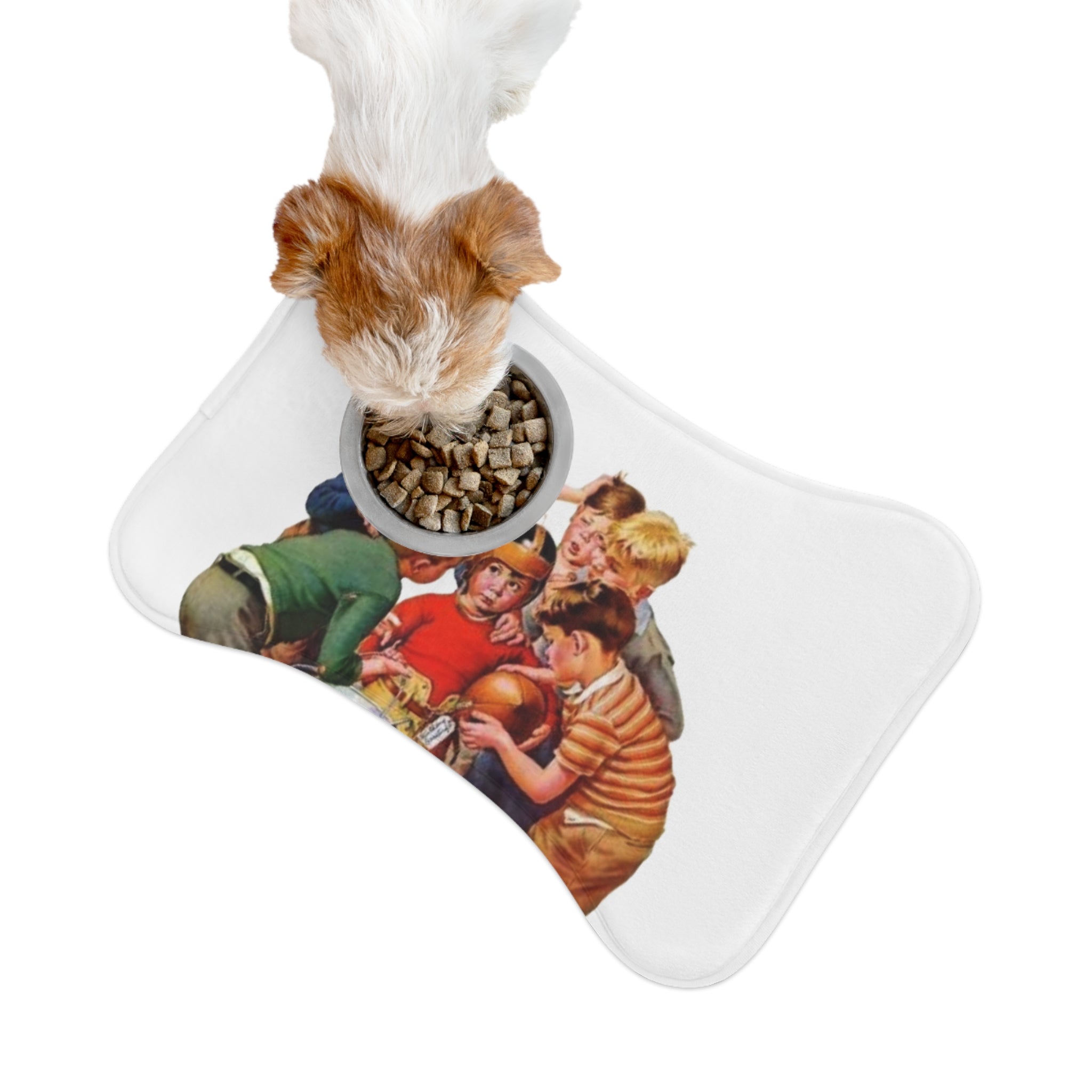 Pet Feeding Mats