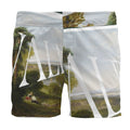 Board Shorts