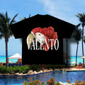 VALENTO  Men's Premium Heavyweight Tee
