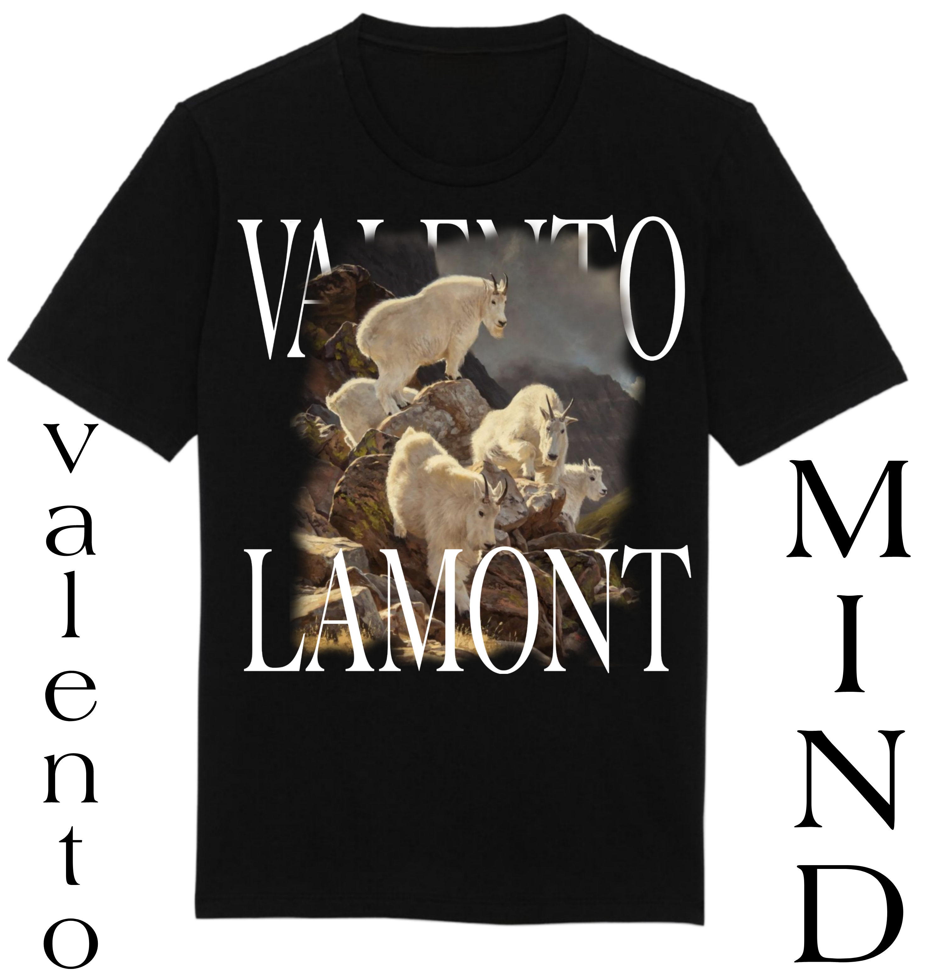 Organic Unisex Classic T-Shirt