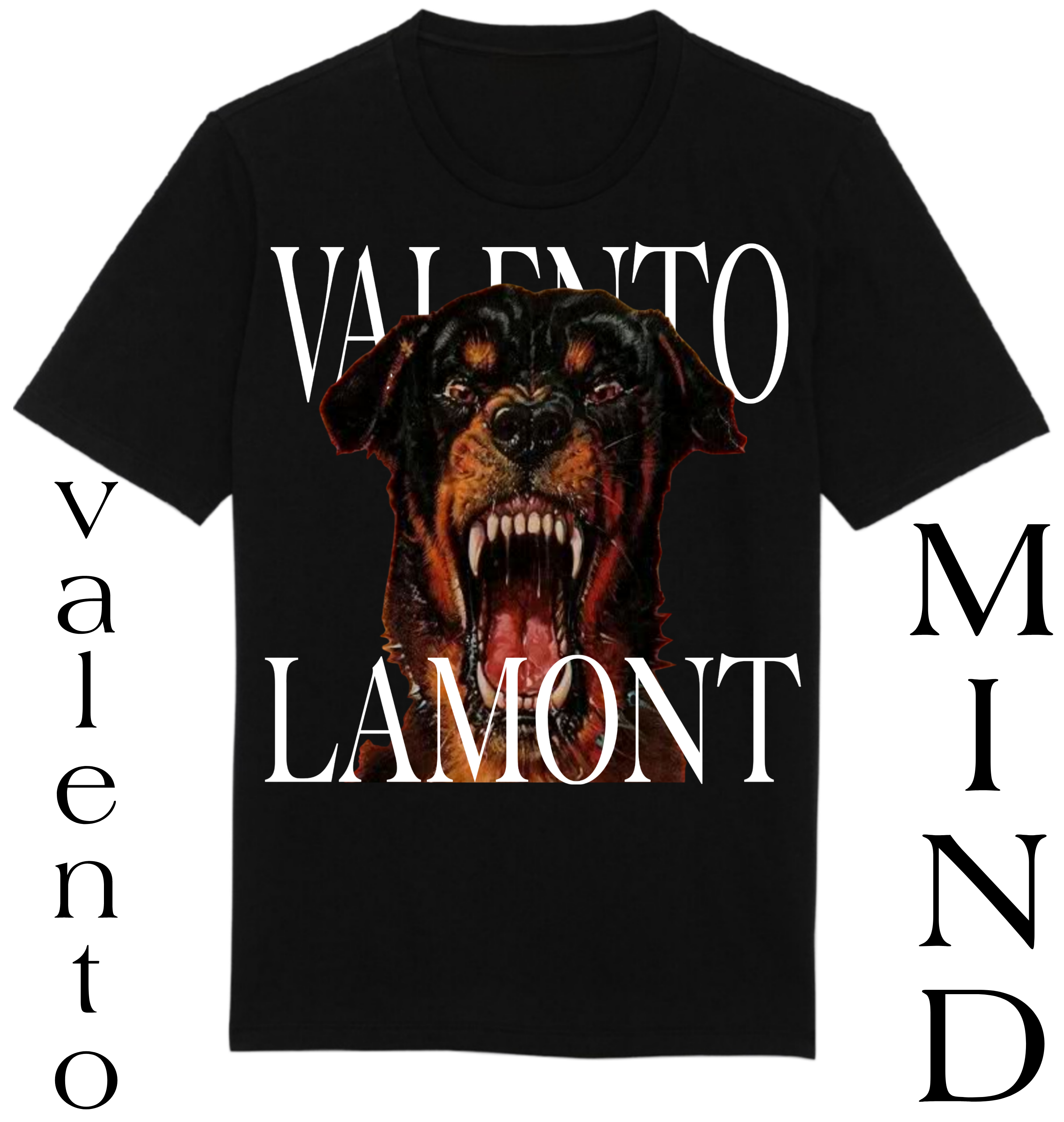 Organic Unisex Classic T-Shirt