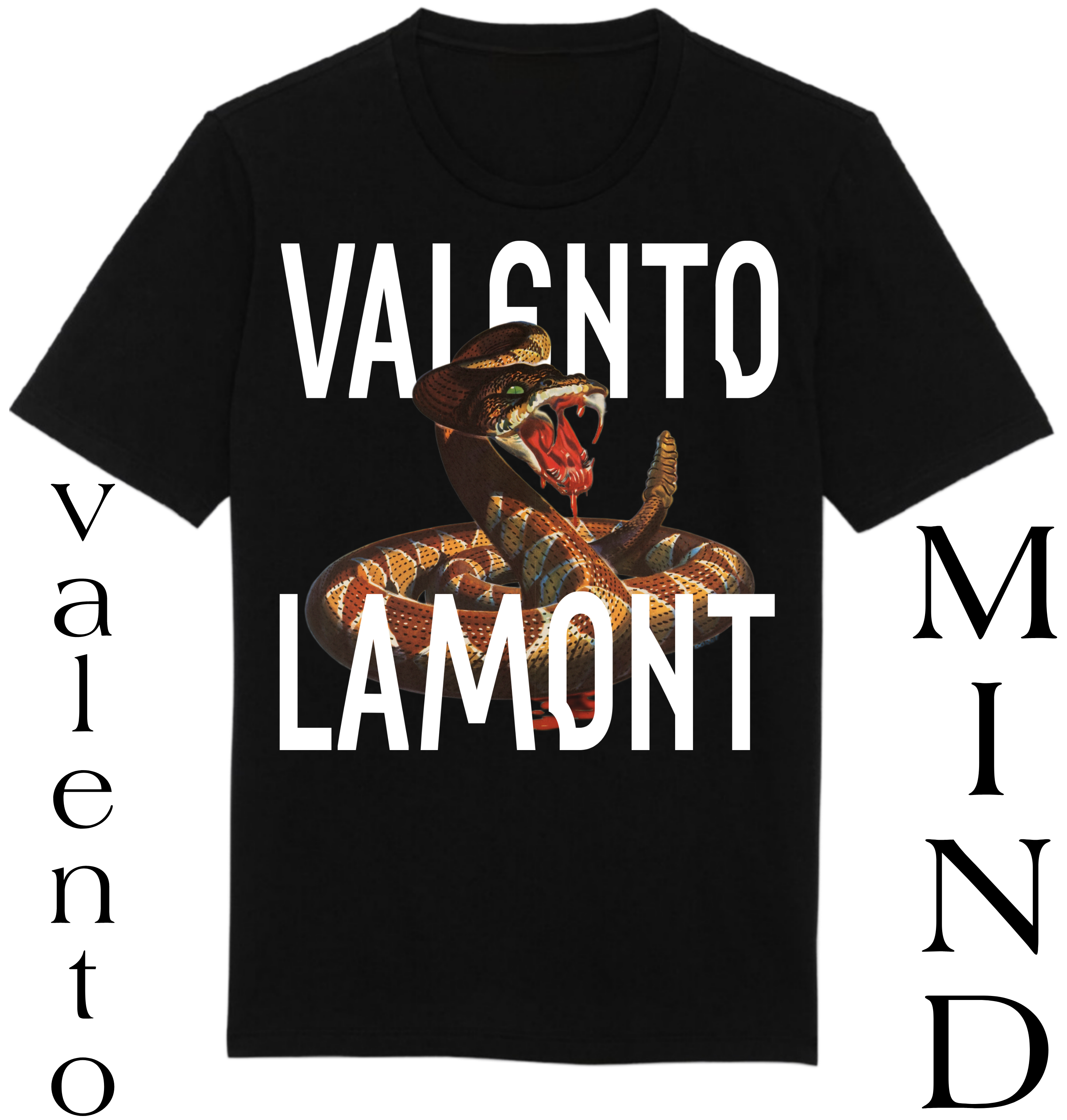 Organic Unisex Classic T-Shirt