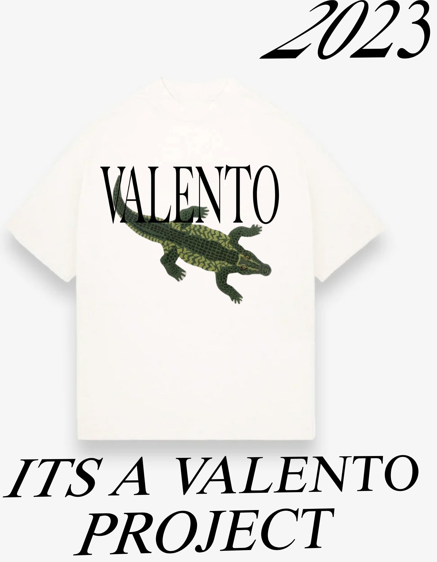 Organic Unisex Classic T-Shirt