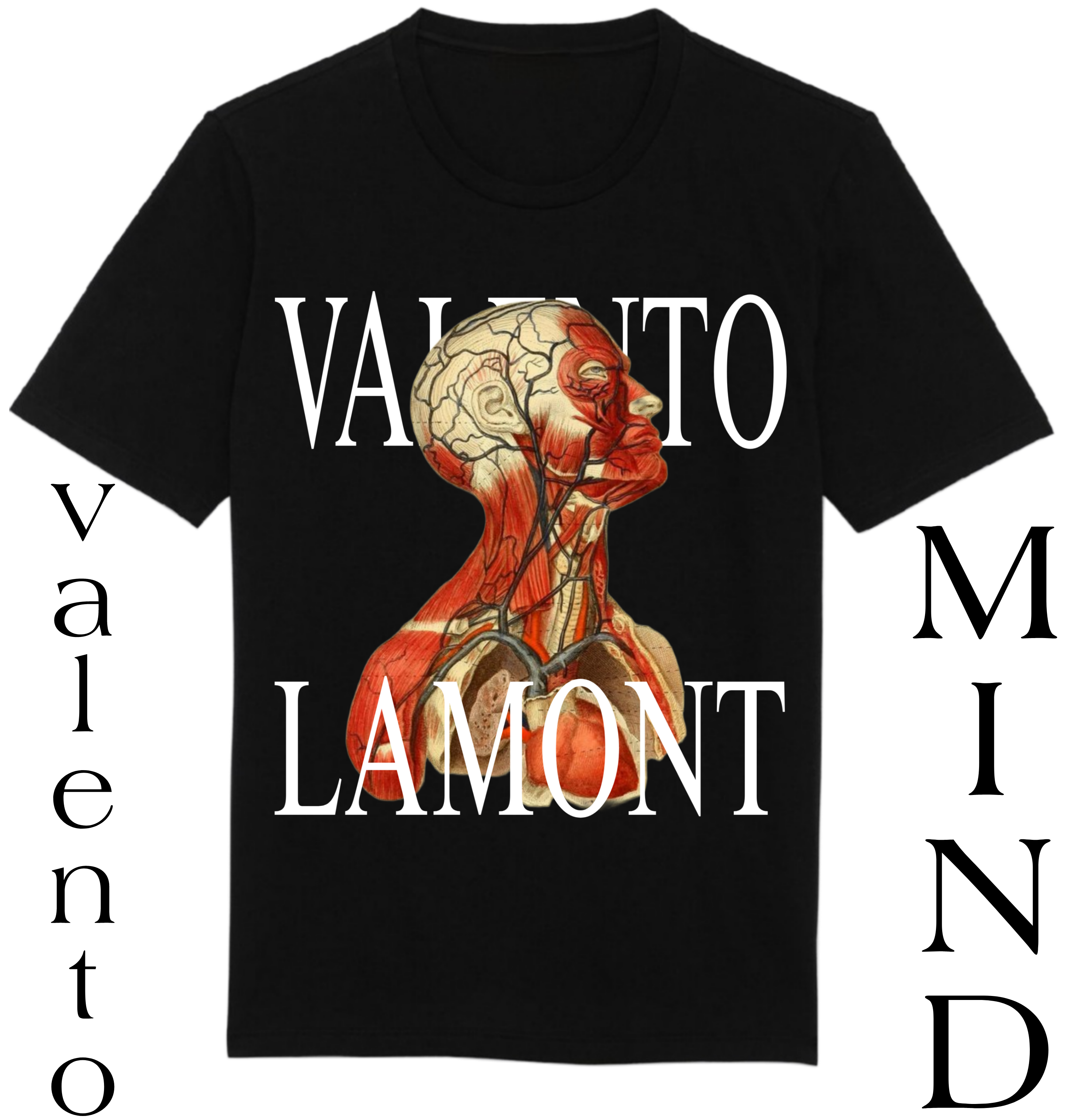 Organic Unisex Classic T-Shirt