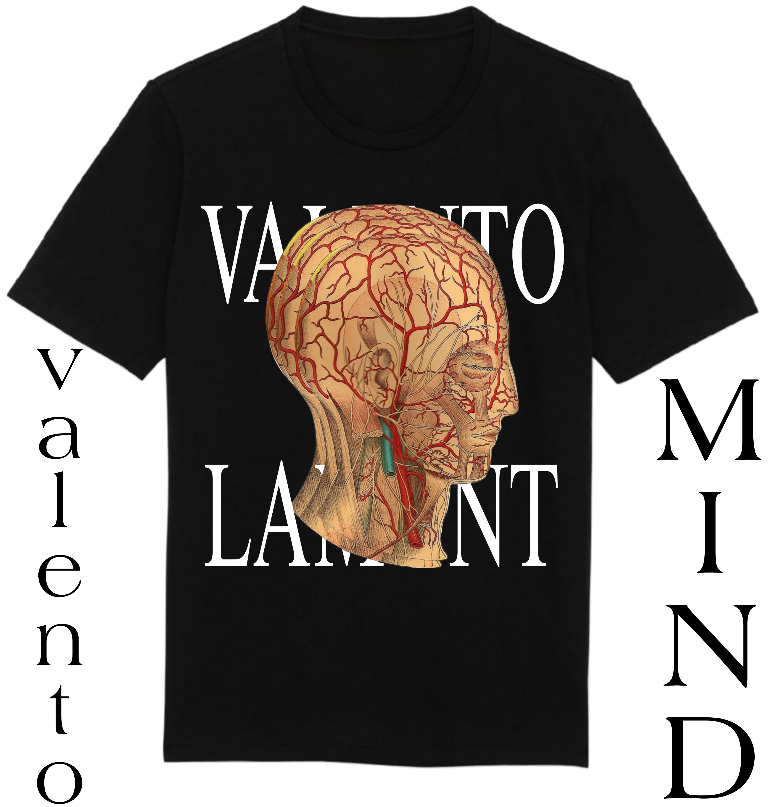 Organic Unisex Classic T-Shirt