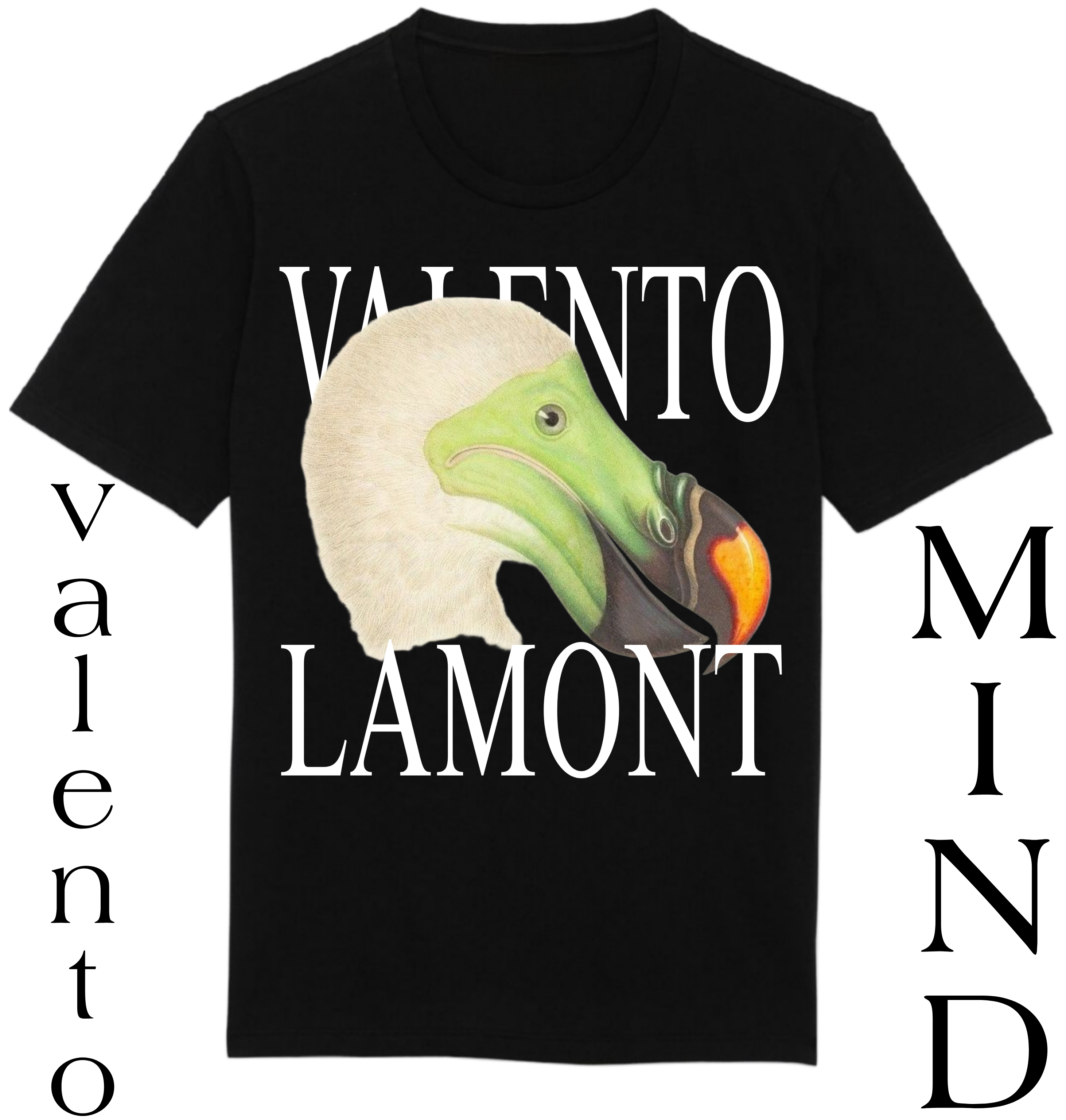 Organic Unisex Classic T-Shirt