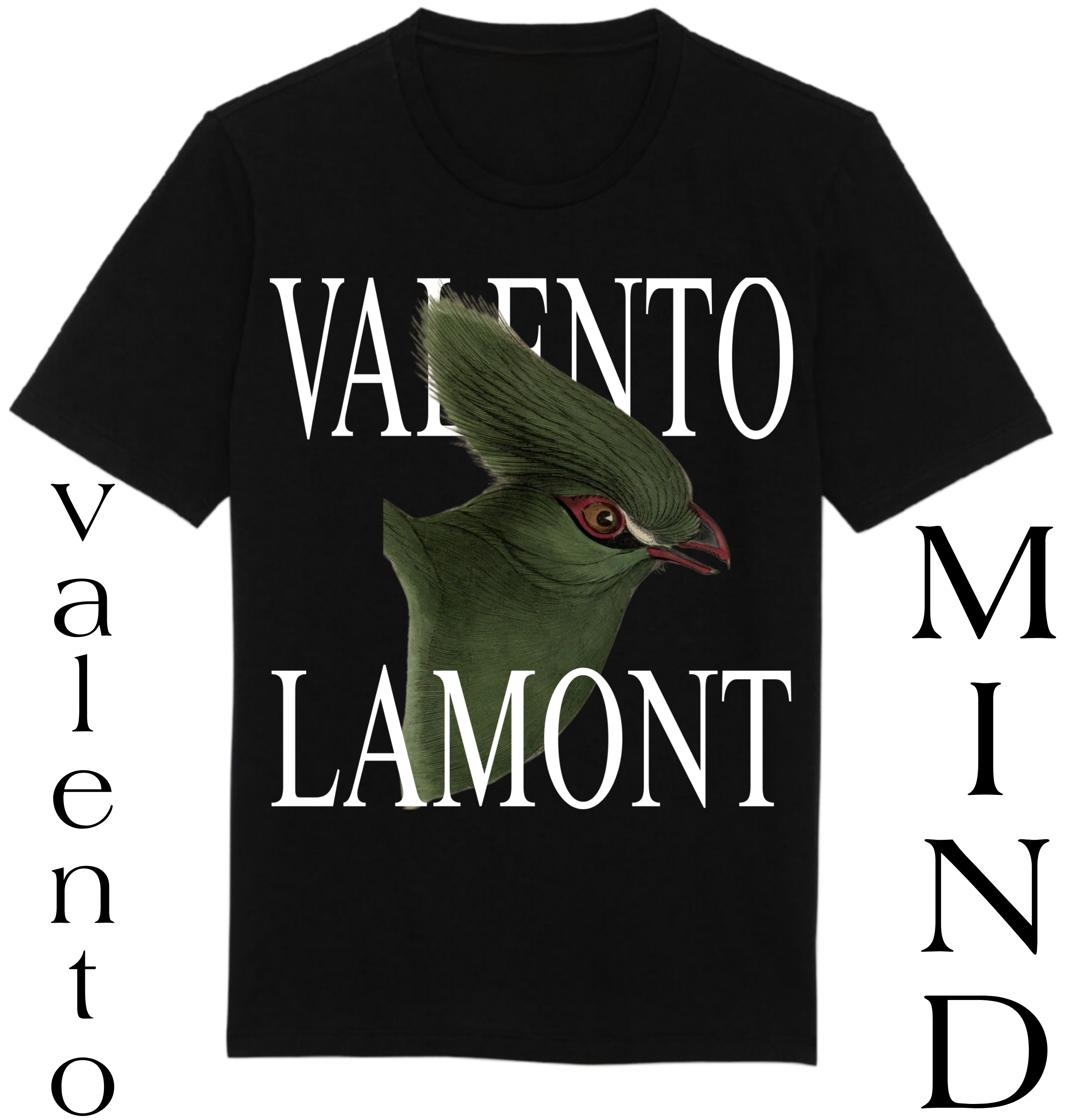 Organic Unisex Classic T-Shirt