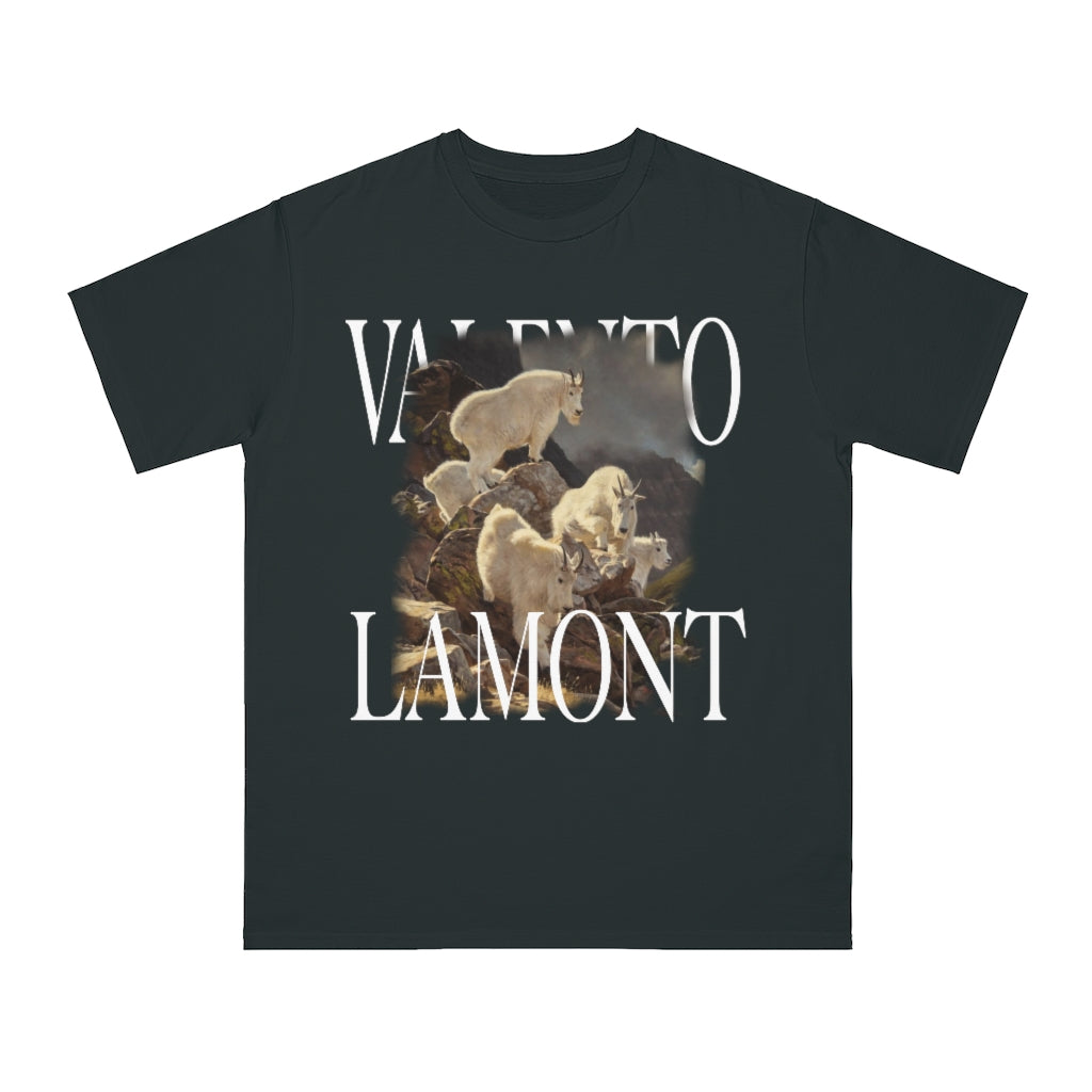 Organic Unisex Classic T-Shirt